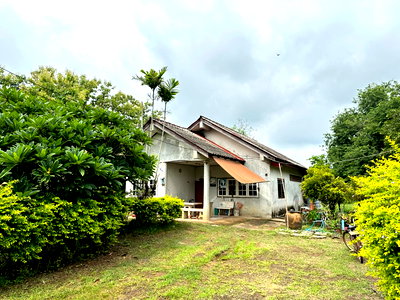 บ้านเดี่ยว เมืองเพชรบูรณ์ เพชรบูรณ์ : ขายบ้านเดี่ยวพร้อมที่ดินเพชรบูรณ์ ราคา 990,000 บ