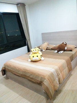 🔥พร้อมเข้าอยู่🔥 Wynn Condo Phahon Yothin 52 price 10,000/month @ian569 /please contact us✨