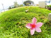 listing thumbnail image 17