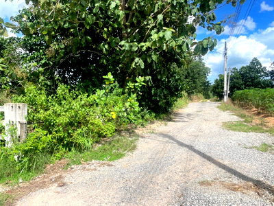 Land for sale ปลวกแดง : Land for Sale! Vacant land located in   Pluak Daeng Rayong Province. Close to Amata City  and Eastern Seaboard Industrial Estate. Total area: 8 Rai