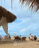 listing thumbnail image 16