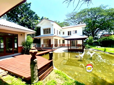 บ้านเดี่ยว ถนนรังสิต-นครนายก : 🌿✨ ขายบ้านเดี่ยวสไตล์รีสอร์ท ร่มรื่นเหมือนได้พักผ่อนทุกวัน! 3 ห้องนอน 3 ห้องน้ำ บ้านสวย บรรยากาศดี ติดถนนรังสิต–นครนายก คลอง 7 เดินทางสะดวกสุดๆ 🚗