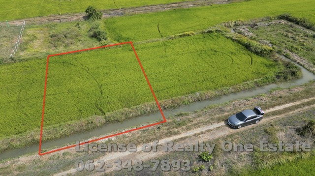 ขายที่ดินทำเลดี ราคาต่ำกว่าประเมิน คลอง 22 ศรีษะกระบือ องครักษ์ นครนายก 100.1 ตรว.