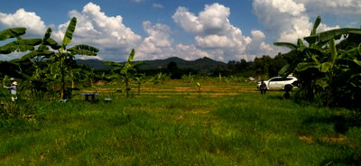Land for rent Thoeng Chiang Rai : Vacant land for rent in Wiang, Thoeng, Chiangrai, on the logistic road R3A