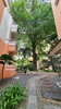 listing thumbnail image 31