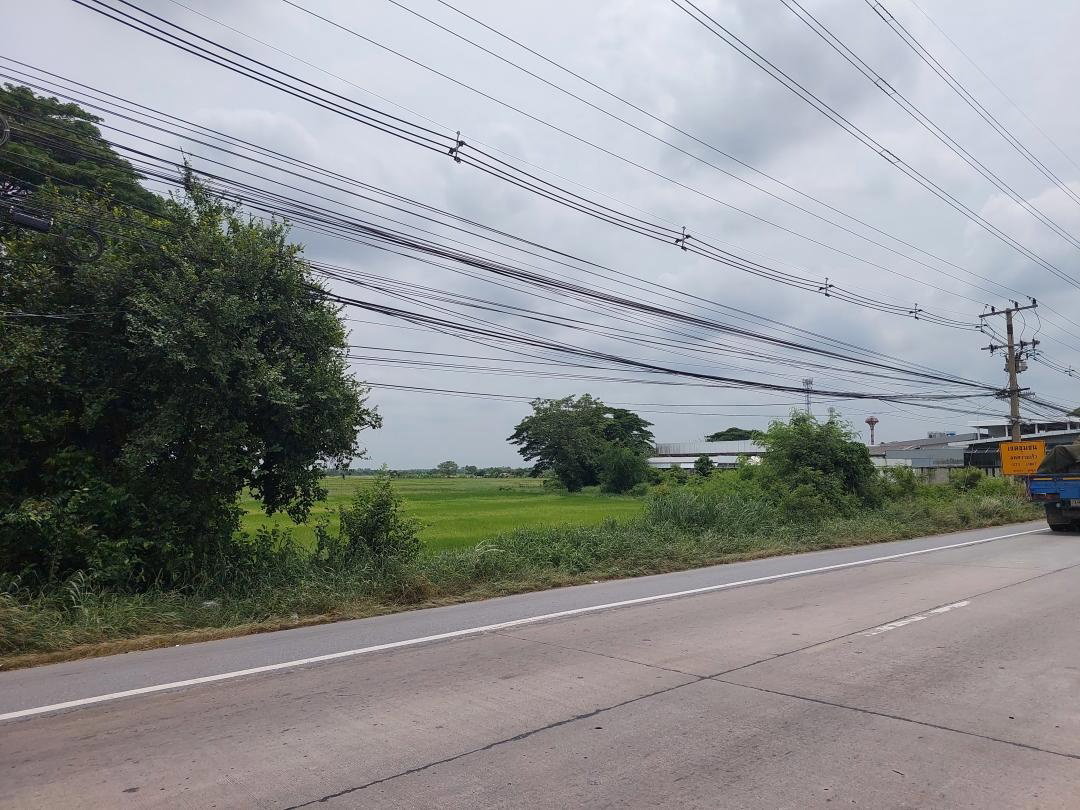 รูป ขายที่ดิน 164 ไร่ ติดถนนพหลโยธิน ติดโชว์รูมซูซูกิ สระบุรี Suzuki & MG ฝ่ายขาย ตรงข้ามกรมทหารม้าที่ 4 ตำบลหนองยาว อำเภอเมืองสระบุรี จังหวัดสระบุรี - รูปที่ 11/14