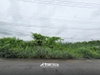 listing thumbnail image 18
