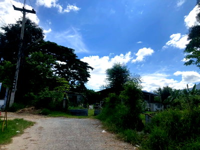 Land for sale : Land for Sale – Phayayen, Pak Chong, Nakhon Ratchasima   14 Rai Land  Width 146 meters, Length 241 meters Located near  popular tourist attractions