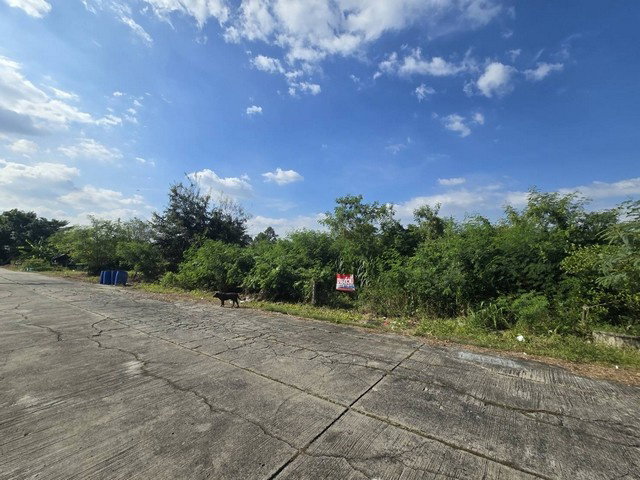 picture FOR SALE  LAND PROPERTY  6308250 BAHT. - 5/8