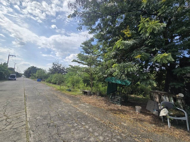 picture FOR SALE  LAND PROPERTY  6308250 BAHT. - 4/8