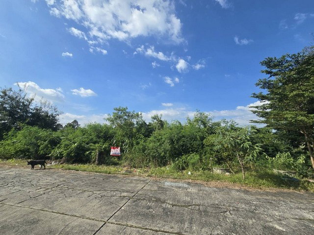 picture FOR SALE  LAND PROPERTY  6308250 BAHT. - 7/8
