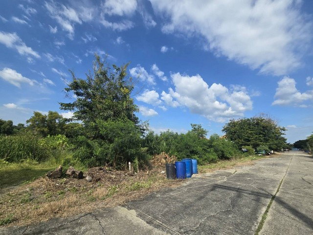 picture FOR SALE  LAND PROPERTY  6308250 BAHT. - 3/8