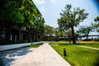 listing thumbnail image 21