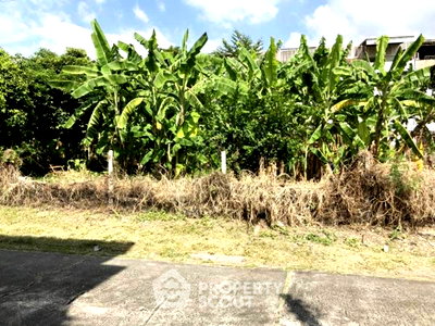 Land for sale Saiaksorn School : Land For Sale In Tha Raeng, Bang Khen Bangkok (Sell) (ID 2370028)