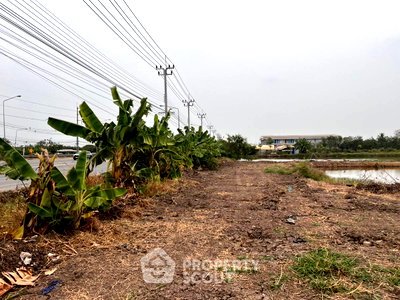 ที่ดิน วิทยาลัยการอาชีพกาญจนาภิเษกหนองจอก : ที่ดินสำหรับขาย ใน ลำผักชี เขตหนองจอก กรุงเทพมหานคร (ID 2370309)
