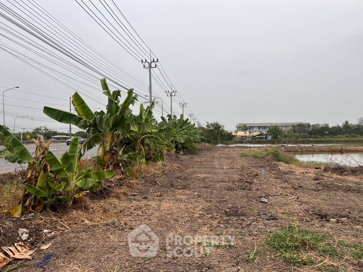 รูป ที่ดินสำหรับขาย ใน ลำผักชี เขตหนองจอก กรุงเทพมหานคร (ID 2370309) - รูปที่ 1/3