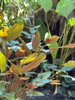 listing thumbnail image 8