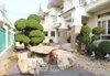 listing thumbnail image 8