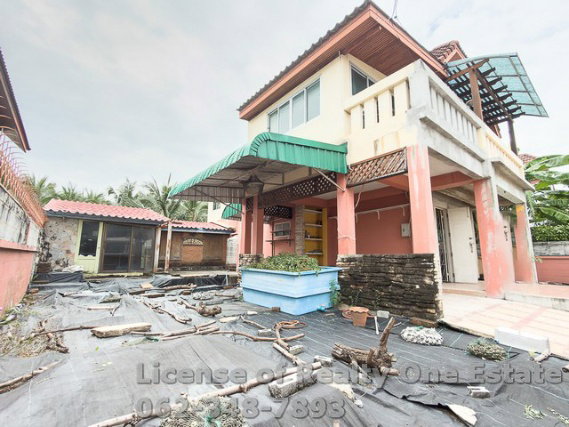รูป ขายบ้านเดี่ยว ทำเลดี บางแวก 118 (ซอยเศรษฐี) บางไผ่ ภาษีเจริญ กรุงเทพ ฝั่งธนฯ - รูปที่ 6/12