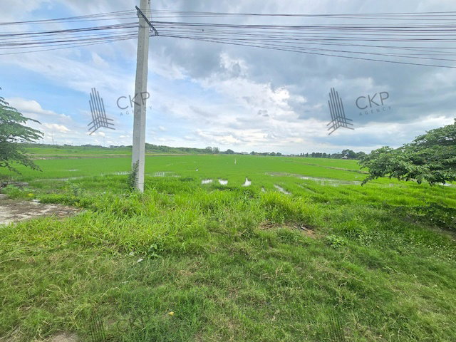 รูป ที่ดินเปล่า 11 ไร่, 2 งาน, 6 ตร.ว. ติดถนนปทุมธานี-บางเลน หน้ากว้าง 24 เมตร ลึก 770 เมตร เป็นพื้นที่สีชมพู เหมาะเพื่อการอยู่อาศัย พาณิชยกรรม เกษตรกรรม - รูปที่ 6/10
