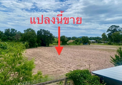 ขายถูก ที่ดินถมแล้ว ตั้งอยู่อ่างเก็บน้ำบางพระ ใกล้มอเตอร์เวย์กรุงเทพ-พัทยา 9 ไร่, 1 งาน, 69.7 ตร.ว.