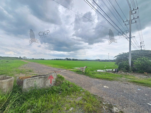 รูป ที่ดินเปล่า 11 ไร่, 2 งาน, 6 ตร.ว. ติดถนนปทุมธานี-บางเลน หน้ากว้าง 24 เมตร ลึก 770 เมตร เป็นพื้นที่สีชมพู เหมาะเพื่อการอยู่อาศัย พาณิชยกรรม เกษตรกรรม - รูปที่ 8/10