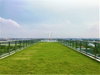 listing thumbnail image 24