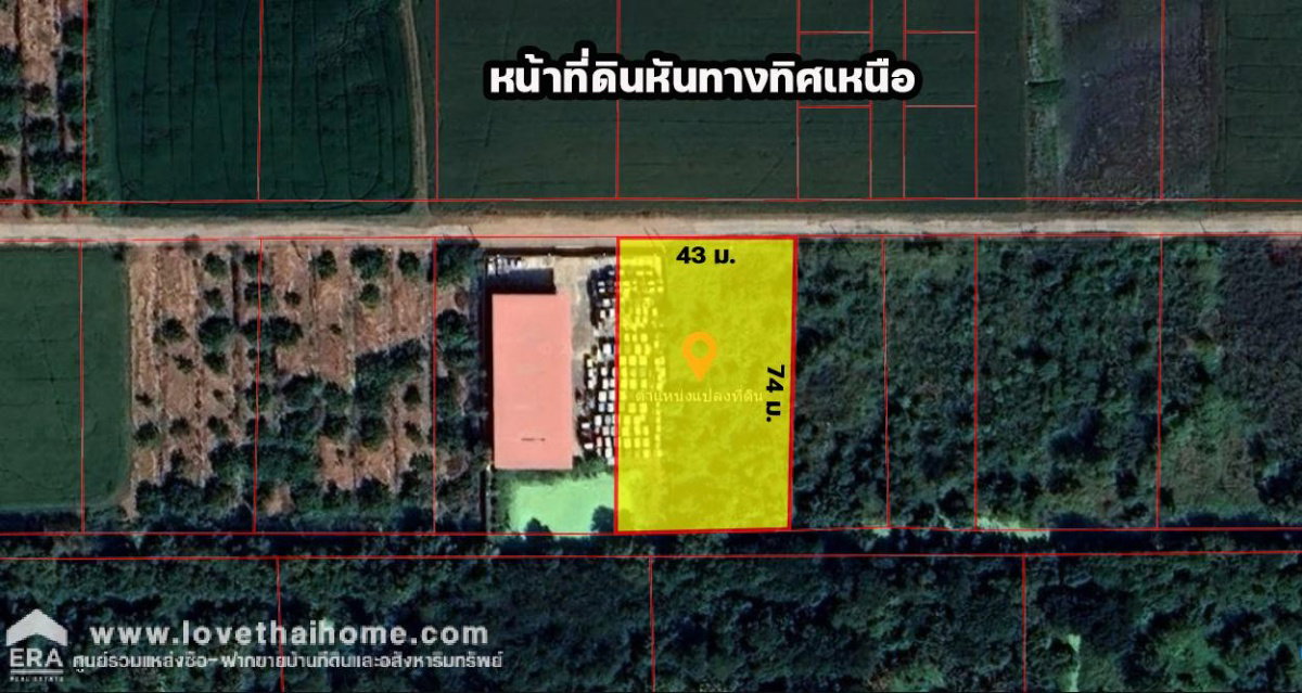 รูป ขายที่ดินคลองสี่ตะวันตก 31 คลองหลวง ปทุมธานี พื้นที่ 800 ตร.ว. แปลงสวย ราคาถูกมาก! ท้ายซอยมีถนนคอนกรีตใหม่เชื่อมคลองสาม - รูปที่ 12/12