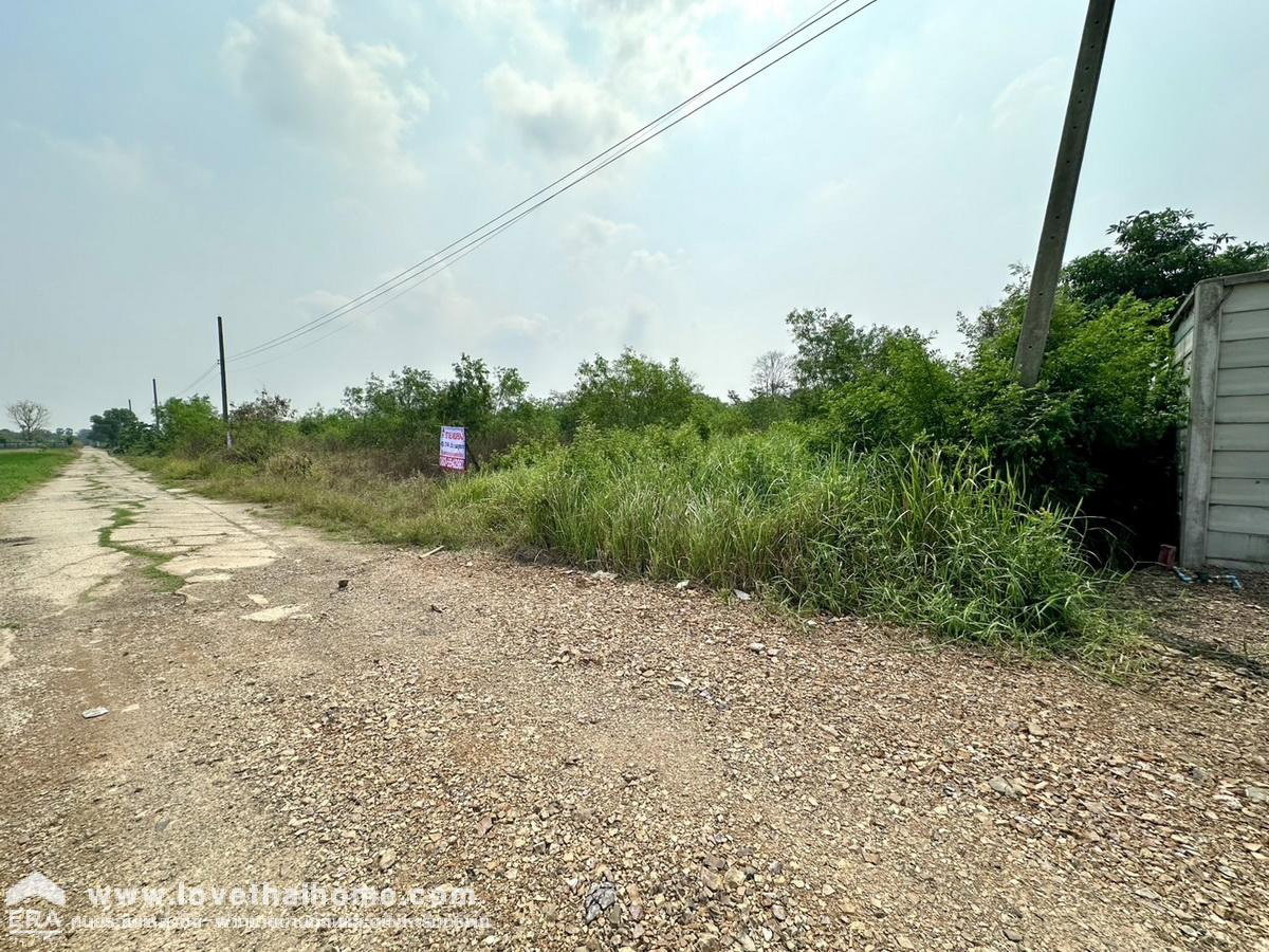 รูป ขายที่ดินคลองสี่ตะวันตก 31 คลองหลวง ปทุมธานี พื้นที่ 800 ตร.ว. แปลงสวย ราคาถูกมาก! ท้ายซอยมีถนนคอนกรีตใหม่เชื่อมคลองสาม - รูปที่ 4/12