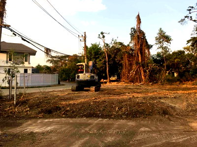 Land for sale Chiang Mai : Land for sale next to Ruamchok Mall, Meeckok Plaza, 100Sq