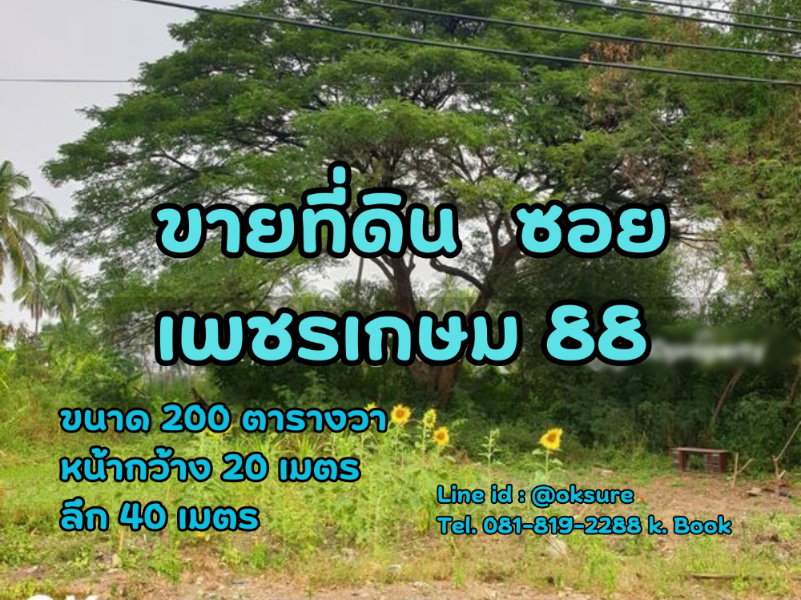 🌳 ขายที่ดินสวย ซ.เพชรเกษม 88 ราคาดี เดินทางสะดวก