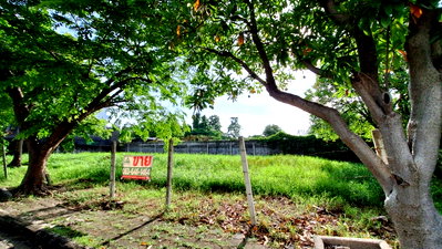 ขายที่ดิน : ขาย ที่ดินเปล่า กฤษดานคร 21 บางนา ตราด กม. 6.5 ใกล้ Mega บางนา สนามบินสุวรรณภูมิ ขนาด 158.8 ตร.วา