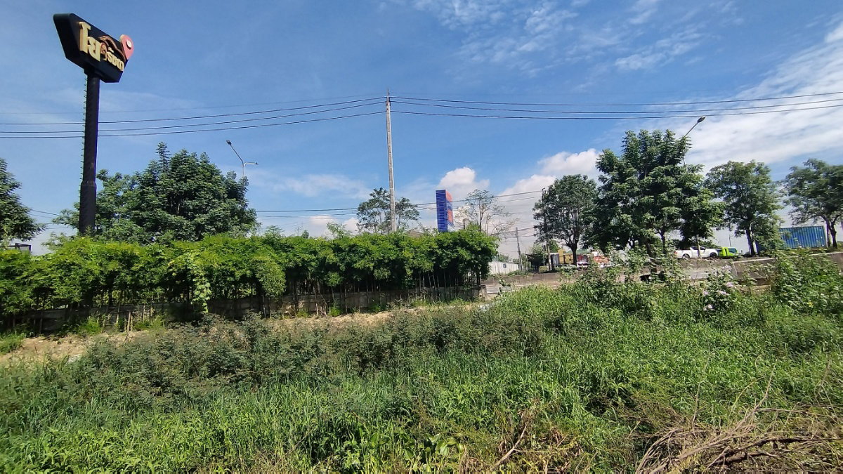 รูป ขายที่ดิน 48 ตรว. ถ.นิมิตรใหม่ เหมาะปลูกบ้าน ขายถูกสุดๆๆ - รูปที่ 8/11