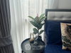 listing thumbnail image 7