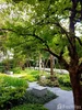 listing thumbnail image 25
