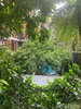 listing thumbnail image 12