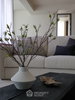 listing thumbnail image 23
