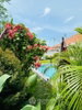 listing thumbnail image 15