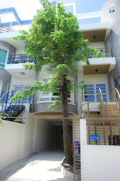 Quiet and full of natural light. House for sale on Soi Lat Phrao 35.