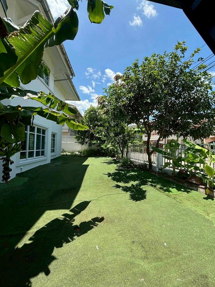 รูป LB015 ขายบ้านเดี่ยวด่วน หมู่บ้านปรีชาร่มเกล้า เข้าออกง่าย ใกล้ถนนใหญ่และสิ่งอำนวยความสะดวกครบ - รูปที่ 12/13