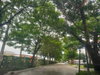 listing thumbnail image 24