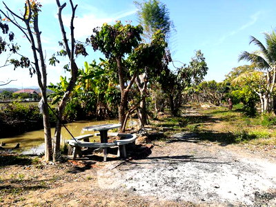 Land for sale Chiang Mai : Land For Sale San Pong Mae Rim Chiang Mai (ID 2434752)