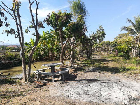Land For Sale San Pong Mae Rim Chiang Mai (ID 2434752)