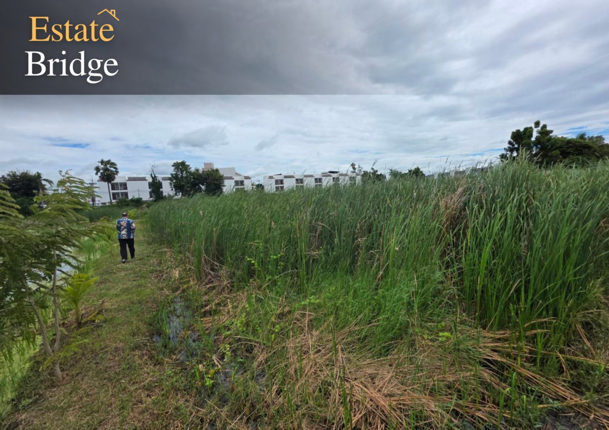 picture Beautiful plot of vacant land for sale in Bang Toei, Sam Phran, Nakhon Pathom - 3/3