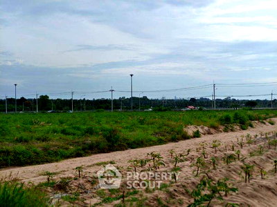 Land for sale Chonburi : Land For Sale Takhian Tia, Bang Lamung, Chon Buri (ID 2432928)