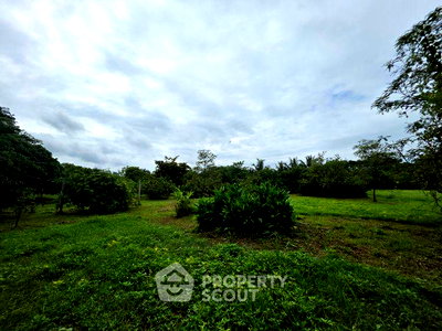 Land for sale Chiang Mai : Land For Sale Inthakhin Mae Taeng Chiang Mai (ID 2433075)