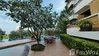 listing thumbnail image 19