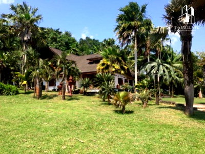 Land for sale : Urgent Sale: Private Resort with Durian and Mangosteen Orchard, Tha Chang District, Surat Thani — 27 Rai of serene and lush surroundings.