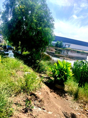 Land for sale : Land for Sale: 19 Rai, 3 Ngan, 49 sq. wah — Best Price! Prime Roadside Plot on Pao In Lat Lum Kaeo  Lat Lum Kaeo District, Pathum Thani