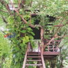 listing thumbnail image 13